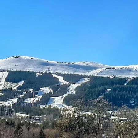 Stunning In With Sauna Hébergement de vacances Trysil